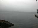 ./images/koeye/fitz-hugh/20180825/fitz-hugh20180825_063501.jpg