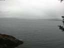 ./images/koeye/fitz-hugh/20180825/fitz-hugh20180825_074502.jpg
