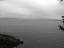 ./images/koeye/fitz-hugh/20180825/fitz-hugh20180825_075502.jpg