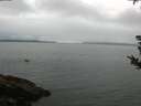 ./images/koeye/fitz-hugh/20180825/fitz-hugh20180825_085001.jpg
