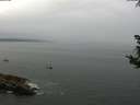 ./images/koeye/fitz-hugh/20180825/fitz-hugh20180825_102501.jpg