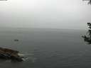 ./images/koeye/fitz-hugh/20180825/fitz-hugh20180825_103502.jpg