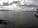 ./images/koeye/fitz-hugh/20180825/fitz-hugh20180825_155501.jpg