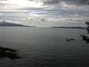 ./images/koeye/fitz-hugh/20180825/fitz-hugh20180825_162001.jpg