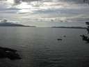 ./images/koeye/fitz-hugh/20180825/fitz-hugh20180825_162501.jpg