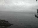 ./images/koeye/fitz-hugh/20180826/fitz-hugh20180826_055501.jpg