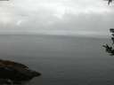 ./images/koeye/fitz-hugh/20180826/fitz-hugh20180826_061001.jpg