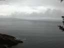 ./images/koeye/fitz-hugh/20180826/fitz-hugh20180826_061501.jpg
