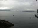 ./images/koeye/fitz-hugh/20180826/fitz-hugh20180826_072502.jpg