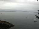 ./images/koeye/fitz-hugh/20180826/fitz-hugh20180826_084501.jpg