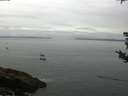 ./images/koeye/fitz-hugh/20180826/fitz-hugh20180826_091501.jpg