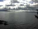 ./images/koeye/fitz-hugh/20180826/fitz-hugh20180826_161502.jpg