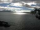 ./images/koeye/fitz-hugh/20180826/fitz-hugh20180826_171502.jpg