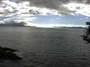 ./images/koeye/fitz-hugh/20180826/fitz-hugh20180826_173501.jpg