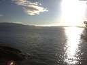 ./images/koeye/fitz-hugh/20180826/fitz-hugh20180826_185001.jpg