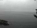 ./images/koeye/fitz-hugh/20180828/fitz-hugh20180828_060001.jpg