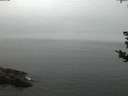 ./images/koeye/fitz-hugh/20180828/fitz-hugh20180828_060501.jpg