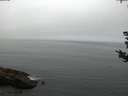 ./images/koeye/fitz-hugh/20180828/fitz-hugh20180828_062501.jpg