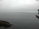 ./images/koeye/fitz-hugh/20180828/fitz-hugh20180828_063501.jpg