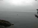 ./images/koeye/fitz-hugh/20180828/fitz-hugh20180828_064501.jpg