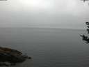 ./images/koeye/fitz-hugh/20180828/fitz-hugh20180828_065001.jpg