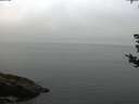 ./images/koeye/fitz-hugh/20180828/fitz-hugh20180828_065501.jpg