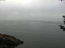 ./images/koeye/fitz-hugh/20180828/fitz-hugh20180828_074002.jpg