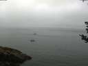 ./images/koeye/fitz-hugh/20180828/fitz-hugh20180828_074502.jpg