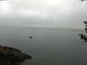 ./images/koeye/fitz-hugh/20180828/fitz-hugh20180828_075502.jpg