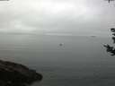 ./images/koeye/fitz-hugh/20180828/fitz-hugh20180828_082501.jpg