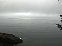 ./images/koeye/fitz-hugh/20180828/fitz-hugh20180828_083501.jpg
