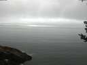 ./images/koeye/fitz-hugh/20180828/fitz-hugh20180828_084001.jpg