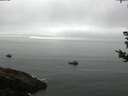 ./images/koeye/fitz-hugh/20180828/fitz-hugh20180828_084501.jpg