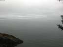 ./images/koeye/fitz-hugh/20180828/fitz-hugh20180828_085501.jpg