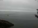 ./images/koeye/fitz-hugh/20180828/fitz-hugh20180828_091001.jpg