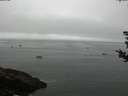 ./images/koeye/fitz-hugh/20180828/fitz-hugh20180828_091501.jpg