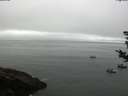 ./images/koeye/fitz-hugh/20180828/fitz-hugh20180828_092501.jpg