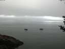 ./images/koeye/fitz-hugh/20180828/fitz-hugh20180828_093501.jpg