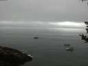 ./images/koeye/fitz-hugh/20180828/fitz-hugh20180828_094001.jpg