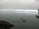 ./images/koeye/fitz-hugh/20180828/fitz-hugh20180828_094501.jpg