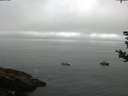 ./images/koeye/fitz-hugh/20180828/fitz-hugh20180828_101502.jpg