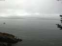 ./images/koeye/fitz-hugh/20180828/fitz-hugh20180828_104002.jpg