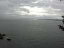 ./images/koeye/fitz-hugh/20180828/fitz-hugh20180828_165002.jpg
