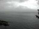 ./images/koeye/fitz-hugh/20180828/fitz-hugh20180828_180501.jpg