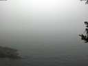./images/koeye/fitz-hugh/20180828/fitz-hugh20180828_182001.jpg
