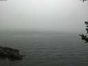 ./images/koeye/fitz-hugh/20180828/fitz-hugh20180828_184501.jpg