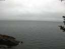./images/koeye/fitz-hugh/20180828/fitz-hugh20180828_194502.jpg