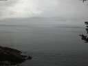 ./images/koeye/fitz-hugh/20180828/fitz-hugh20180828_202502.jpg
