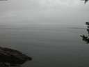 ./images/koeye/fitz-hugh/20180828/fitz-hugh20180828_205501.jpg