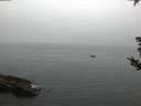 ./images/koeye/fitz-hugh/20180829/fitz-hugh20180829_065002.jpg
